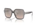 Jimmy Choo Gafas de Sol JC 5005 50426I