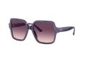 Jimmy Choo Gafas de Sol JC 5005 50447W