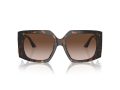 Jimmy Choo Gafas de Sol JC 5006U 500213