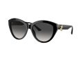 Jimmy Choo Gafas de Sol JC 5007 50008G