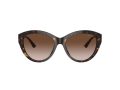 Jimmy Choo Gafas de Sol JC 5007 500213