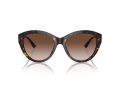 Jimmy Choo Gafas de Sol JC 5007 500213