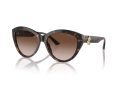 Jimmy Choo Gafas de Sol JC 5007 500213