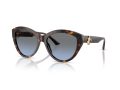 Jimmy Choo Gafas de Sol JC 5007 50028F