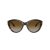Jimmy Choo Gafas de Sol JC 5007 5002T5