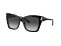 Jimmy Choo Gafas de Sol JC 5012 50008G