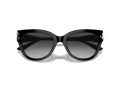 Jimmy Choo Gafas de Sol JC 5018U 50008G
