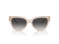 Jimmy Choo Gafas de Sol JC 5018U 50258G