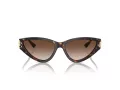 Jimmy Choo Gafas de Sol JC 5019 500213