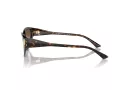 Jimmy Choo Gafas de Sol JC 5019 500213