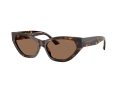 Jimmy Choo Gafas de Sol JC 5022B 500273