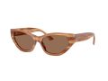 Jimmy Choo Gafas de Sol JC 5022B 505573
