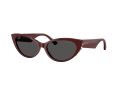 Jimmy Choo Gafas de Sol JC 5023H 505787