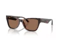 Jimmy Choo Gafas de Sol JC 5024HU 500273