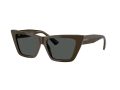 Jimmy Choo Gafas de Sol JC 5028 506087