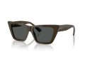 Jimmy Choo Gafas de Sol JC 5028 506087