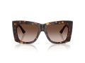 Jimmy Choo Gafas de Sol JC 5036B 500213