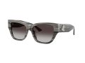 Jimmy Choo Gafas de Sol JC 5039BU 50638G