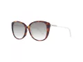 Jimmy Choo Gafas de Sol JC ALY/F/S 086HA