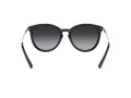 Michael Kors Brisbane Gafas de Sol MK 1077 1014/T3