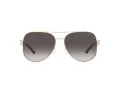 Michael Kors Chianti Gafas de Sol MK 1121 1014/8G