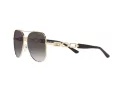 Michael Kors Chianti Gafas de Sol MK 1121 1014/8G