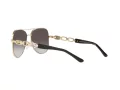 Michael Kors Chianti Gafas de Sol MK 1121 1014/8G