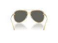 Michael Kors Portofino Gafas de Sol MK 1147 18967P
