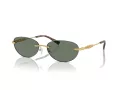 Michael Kors Manchester Gafas de Sol MK 1151 18963H