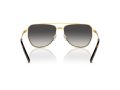 Michael Kors Whistler Gafas de Sol MK 1155 18968G