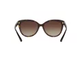 Michael Kors Jan Gafas de Sol MK 2045 3006/13
