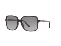 Michael Kors Isle Of Palms Gafas de Sol MK 2098U 3005/11