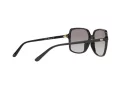 Michael Kors Isle Of Palms Gafas de Sol MK 2098U 3005/11
