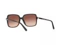 Michael Kors Isle Of Palms Gafas de Sol MK 2098U 3781/13
