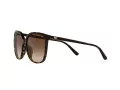 Michael Kors Anaheim Gafas de Sol MK 2137U 3006/13
