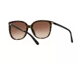 Michael Kors Anaheim Gafas de Sol MK 2137U 3006/13