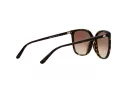 Michael Kors Anaheim Gafas de Sol MK 2137U 3006/13