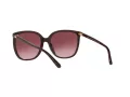 Michael Kors Anaheim Gafas de Sol MK 2137U 3344/8H