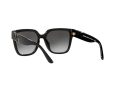 Michael Kors Karlie Gafas de Sol MK 2170U 3005/8G