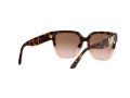 Michael Kors Karlie Gafas de Sol MK 2170U 3909/13