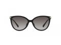 Michael Kors Dupont Gafas de Sol MK 2184U 30058G_56