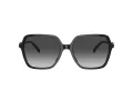 Michael Kors Jasper Gafas de Sol MK 2196U 30058G