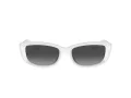 Michael Kors Asheville Gafas de Sol MK 2210U 31008G