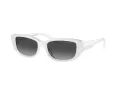 Michael Kors Asheville Gafas de Sol MK 2210U 31008G