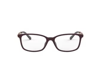 Michael Kors Telluride Gafas Graduadas MK 4060U 3344_54