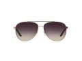 Michael Kors Hvar Gafas de Sol MK 5007 1099/36