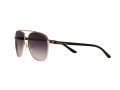 Michael Kors Hvar Gafas de Sol MK 5007 1099/36