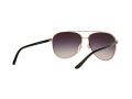 Michael Kors Hvar Gafas de Sol MK 5007 1099/36