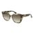 Max Mara Gafas de Sol MM 0040 55F