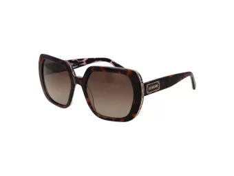 Moschino Love Gafas de Sol MOL 082/S MAPHA